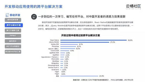 云栖社区 2017中国开发者调查报告 