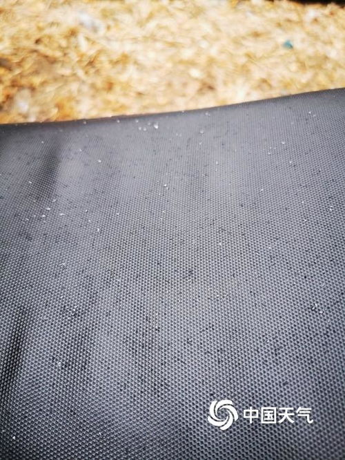 抬头看 北京冬雪飞舞飘扬