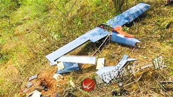 无人机坠毁重庆大渡口 目击者当时正做农活被吓得半死