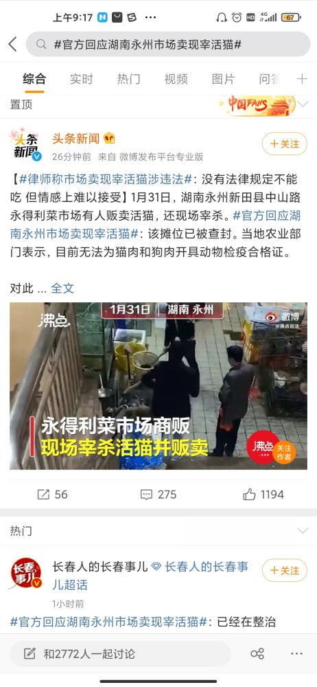 官方回应湖南永州市场卖现宰活猫