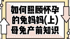 女子一年前买5只兔子回家养 一年后场面失控无奈又惊慌