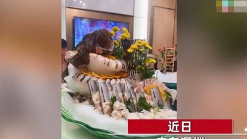 广东一男子吃顿饭花32万,喝了6瓶50年茅台酒,光服务费就2.9万元