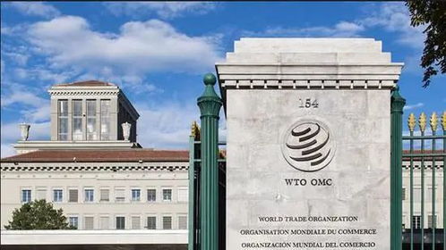 美国放弃抵制 WTO迎来首位非裔女性总干事