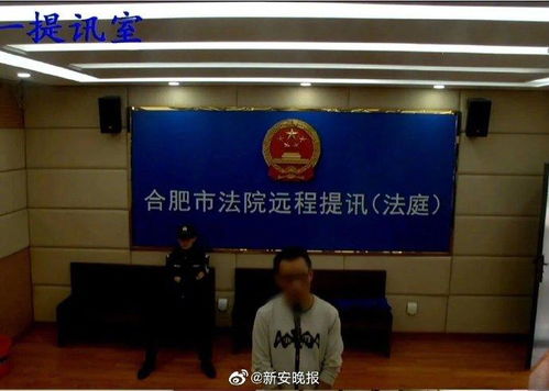 合肥杀害女友藏尸冰柜案一审宣判 男子获无期徒刑