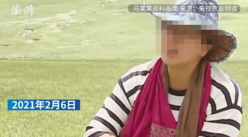 青海妇联回应前女记者自述遭家暴 正在联系当事人