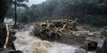 印度南部喀拉拉邦遭百年一遇洪灾 一个月内近40人死亡