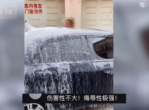 堵人车库被泼水冻成冰车 反转来了