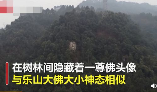 四川偏僻山村现乐山大佛 孪生兄弟 ,当地政府回应让人意外 