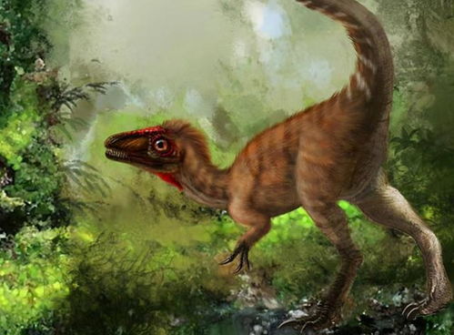 英国4岁女童发现新型恐龙足迹,距今2.2亿年,引考古界轰动