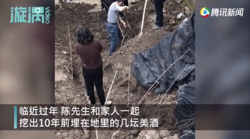 男子挖10年前埋地下的酒准备过年,挖掘过程曝光网友不淡定了 