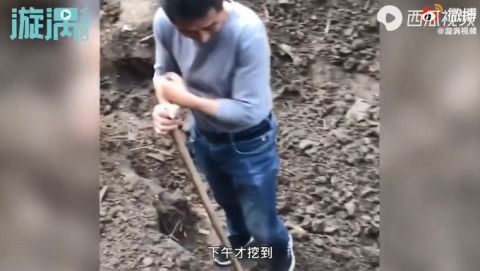 湖北一男子挖出10年陈酿过新年 忘了埋在哪,挖了一天