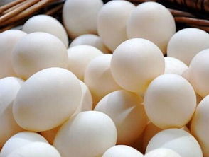 鸡蛋价格行情预测 湖北鸡蛋价格小幅回落 猪肉价格上涨