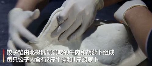 上海北极熊过年吃到4斤重大饺子 网友 吃得真欢乐 