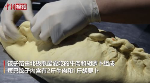 春节加餐了 上海北极熊过年吃到4斤重大饺子,网友 家中同款馅料