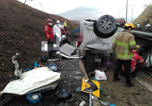 痛心 韩国一高速路上发生车祸致中国公民6死4伤