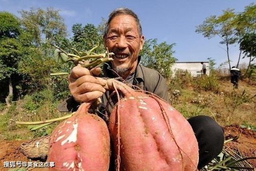 4种食物发芽后,不但没 毒 ,营养可能会翻倍,别扔掉浪费了