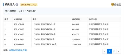 锤子科技再成被执行人,累计被执行金额已超1782万,罗永浩目前为执行董事