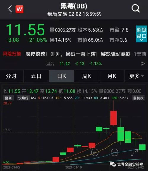 美国散户带头人一天血亏1300万美元