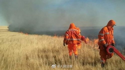 最新 蒙古国草原大火已被扑灭