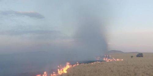 已蔓延至中国的蒙古国草原大火,为什么现在发生 灭火难点是什么