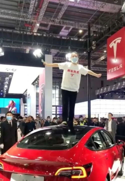特斯拉女车主激动车顶维权 被上海警方行拘5日