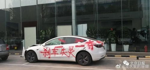 后续来了 女车主坐车顶维权,被拘留5日 特斯拉回复绝不妥协