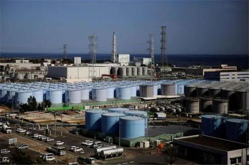 刚被状告国际法庭 日本突然宣布 允许韩国参与监督核污染水排海