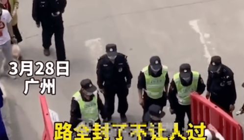 卖假燕窝 高调下跪复出 现在辛巴直播中连踹妻子5脚,还将她锁喉放倒在地 