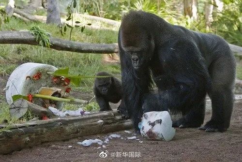 雨夹雪 中雨 新一轮降水马上到河北 房子7天内 自燃 40多次 初步原因查明