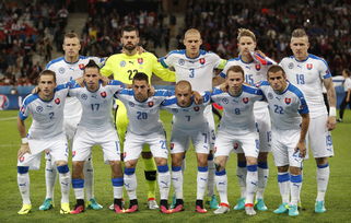 欧洲杯B组 俄罗斯1 2斯洛伐克 