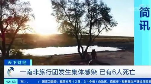 40人旅行团37人感染新冠,已有6人死亡 南非旅行团被曝在纳米比亚发生集体感染,当地样本阳性检出率达46