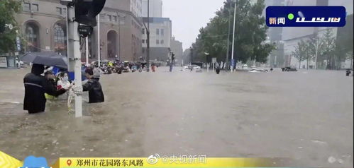 濮阳在郑州 新乡 安阳的老乡,你们还好吗