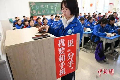 事关张北每一位中小学生 学校不得与培训机构合作向学生提供课程辅导...新规