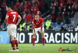 欧洲杯 瑞士1 2土耳其 