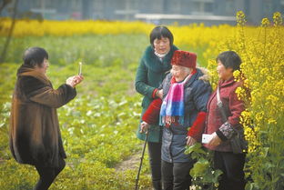 彭山有个长寿之家 全家96口人年龄加起来3850岁