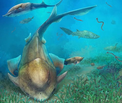 重庆发现4.23亿年前袖珍边城鱼,从鱼到人,下巴是怎么出现的