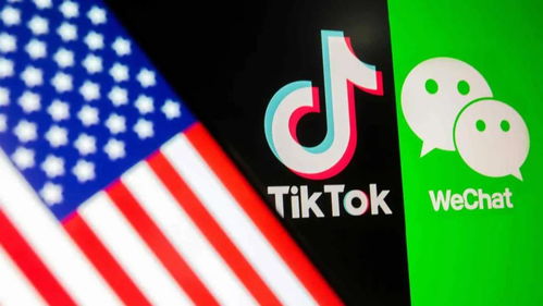 青岛拟上市企业达35家 拜登撤销对TikTok及微信禁令丨6月10日