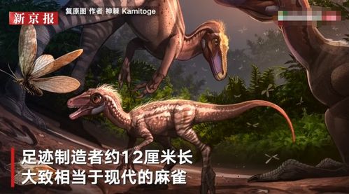 四川自贡发现中国最小恐龙足迹 或系刚出生不久小恐龙留下 身材约麻雀大小