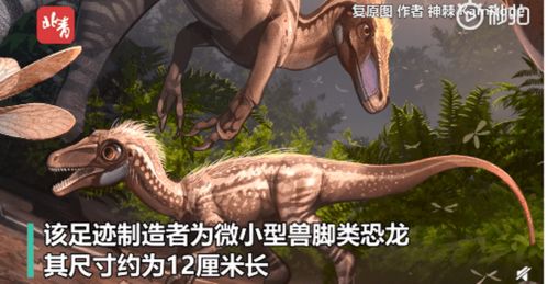 四川现中国最小恐龙足迹,活体约麻雀大小