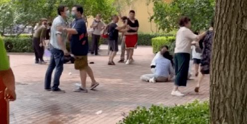 北京野生动物园内游客打斗,园方 引发动物效仿,场面失控