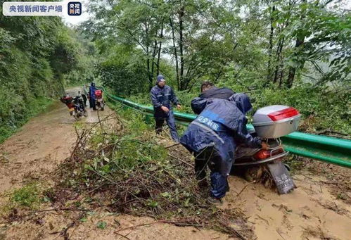 6万人用水困难 千余辆汽车被淹 陕西勉县大暴雨致11639人受灾