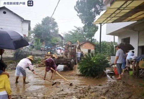 陕西勉县大暴雨致11639人受灾,城区千余辆汽车被淹