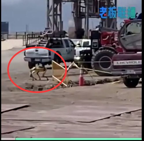 波士顿动力机器狗检查SpaceX爆炸现场 评估损害程度