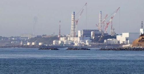又是一场地缘政治作秀 美国支持日本将核废水排海 终将贻害万年