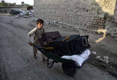 外媒 巴基斯坦关闭口岸防止阿富汗难民涌入