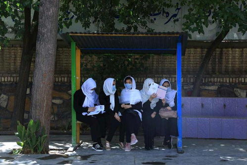 塔利班公布教育新政再重申男女分班原则,重设 美德部