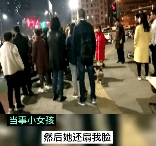 郑州9岁女孩领弟弟在公园玩,一女子突然扯走弟弟,女孩阻止被扇巴掌