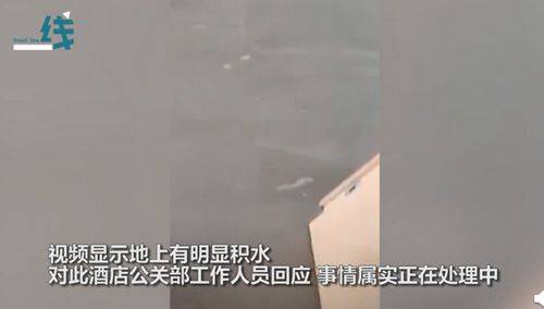 酒店回应游客堵房间地漏蓄水玩 服务员劝阻还被投诉