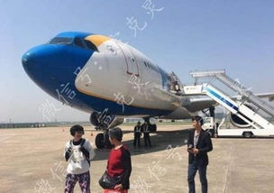 上海一飞往香港航班因故障返航 乘客闻到焦糊味 