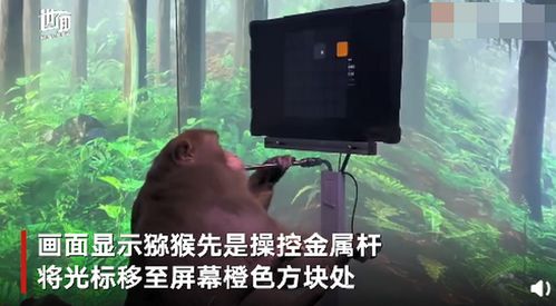 马斯克公布猴子用意念打游戏视频,并称未来人瘫痪也能隔空玩手机 